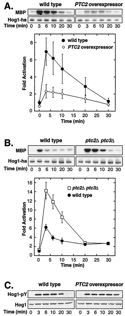 FIG.3.