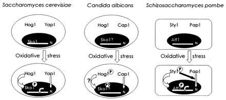 FIG. 7.