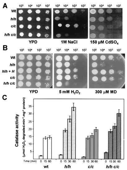 FIG. 4.