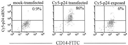 FIG. 1.