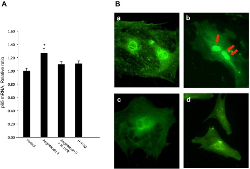 Fig. 8.