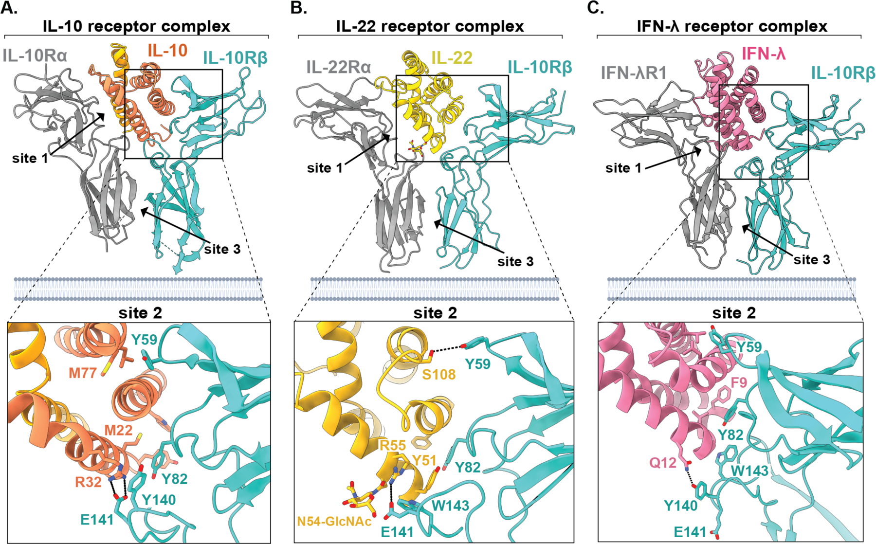 Figure 2: