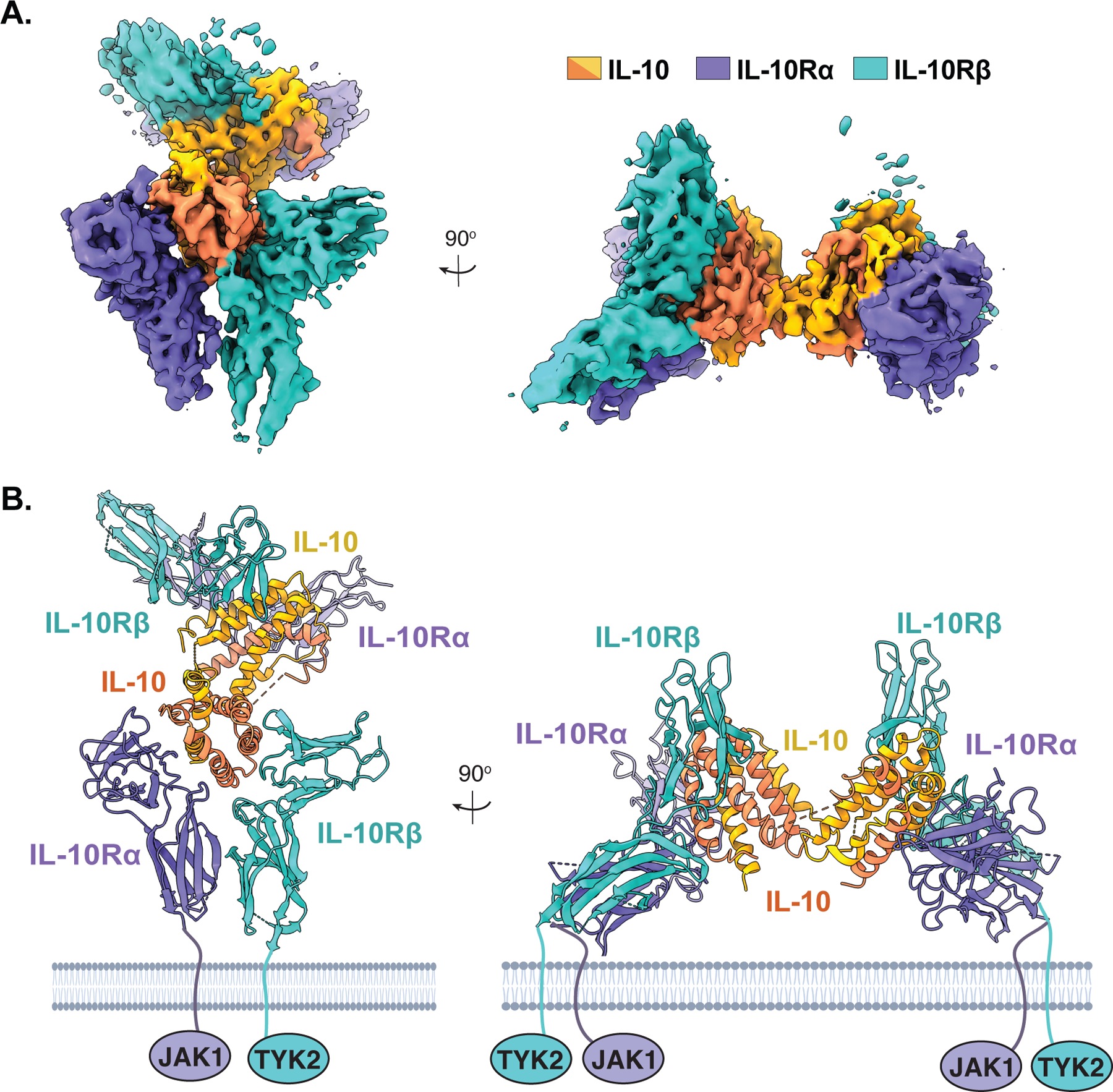 Figure 1: