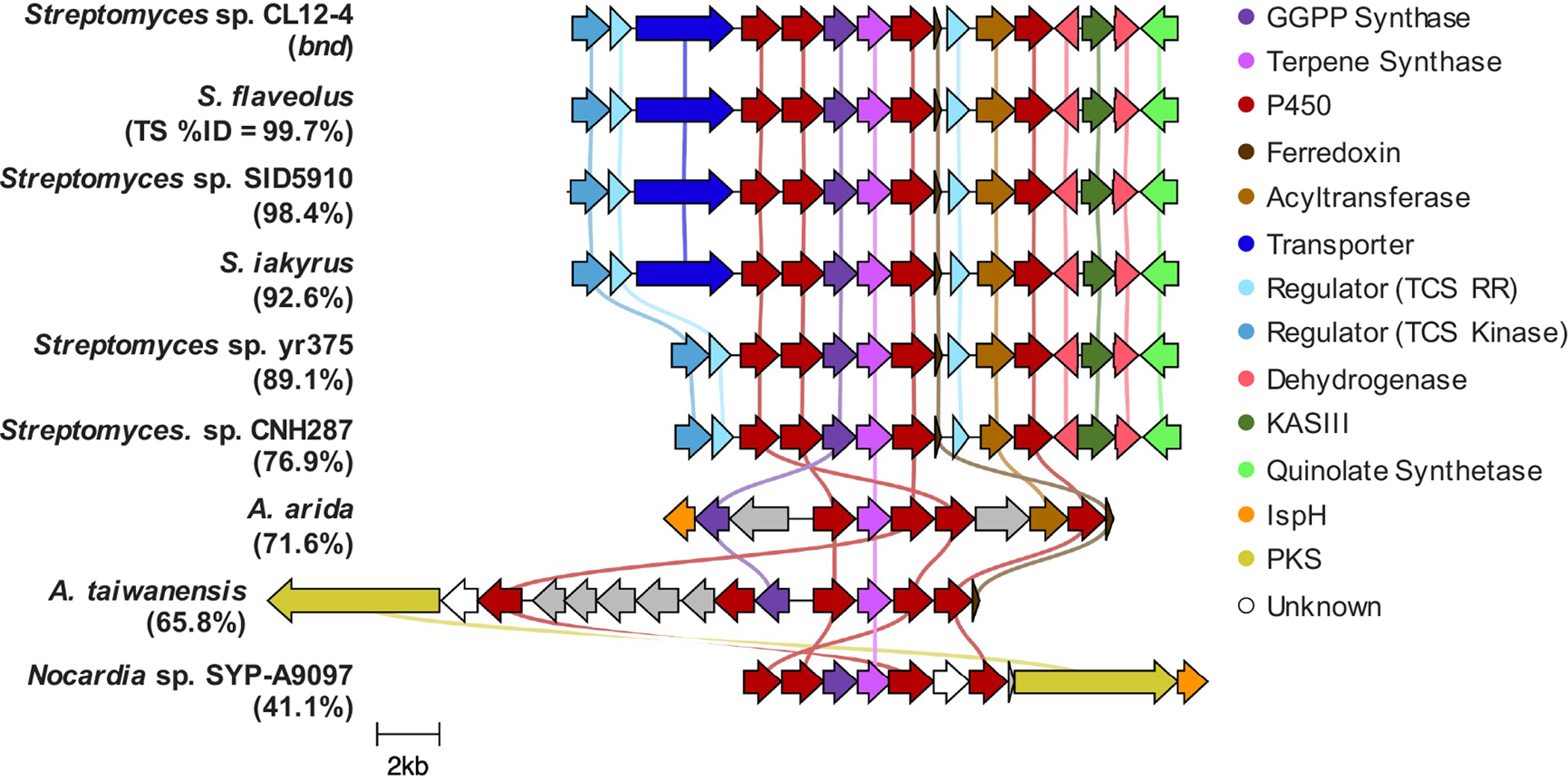 Figure 5.