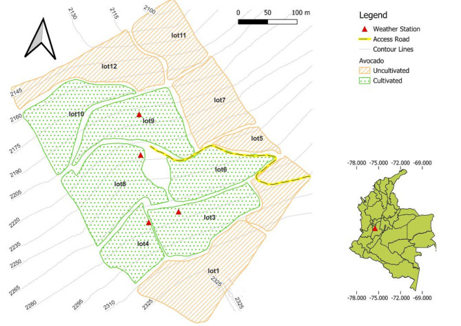 Fig. 8