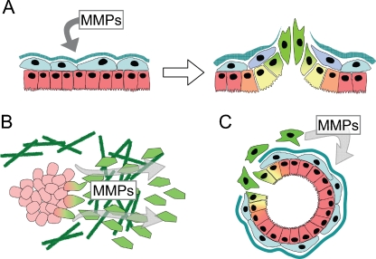 Figure 3