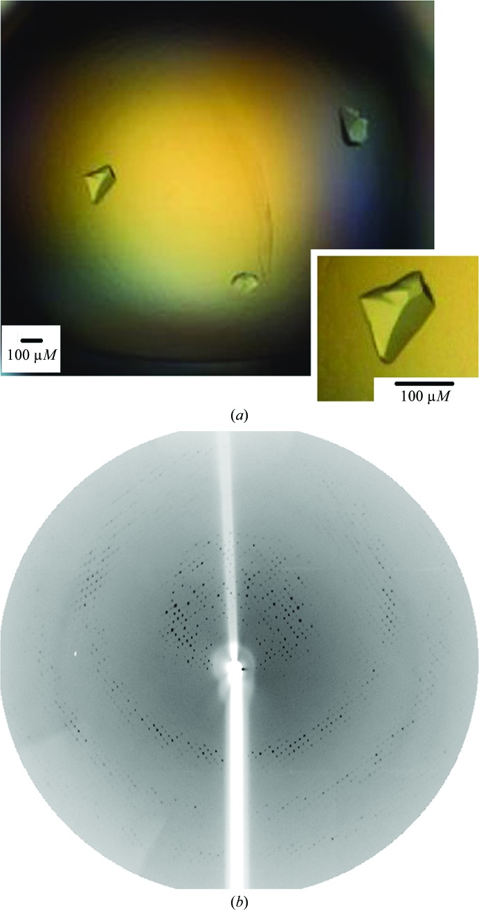 Figure 2