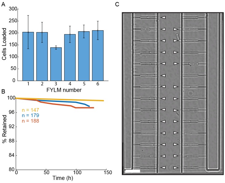 Figure 1—figure supplement 2.