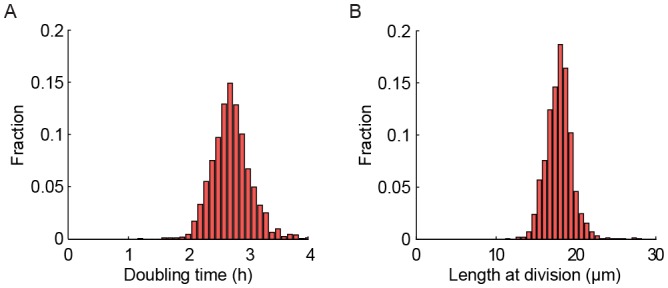 Figure 6—figure supplement 1.