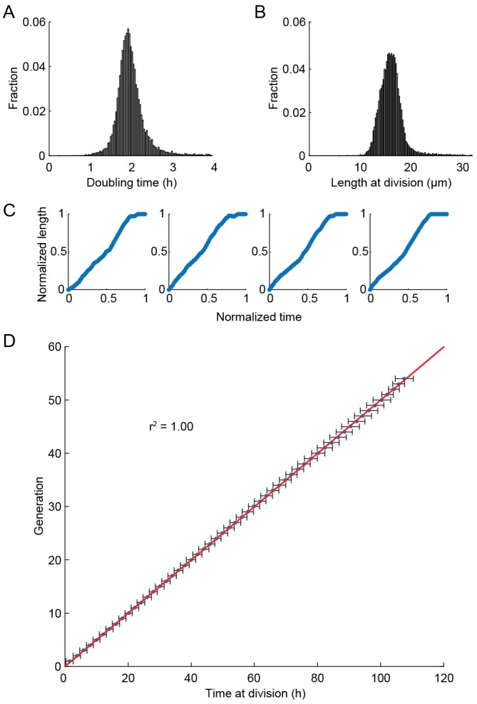 Figure 2—figure supplement 1.