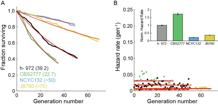 Figure 2—figure supplement 2.