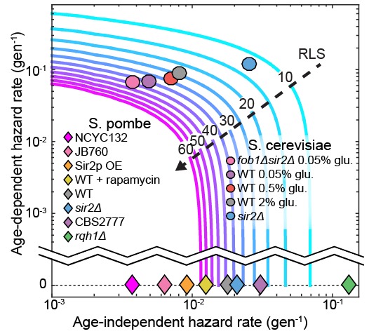 Figure 7.