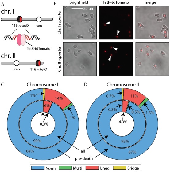 Figure 6—figure supplement 2.