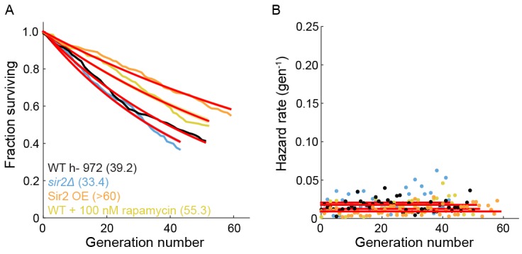 Figure 5—figure supplement 2.