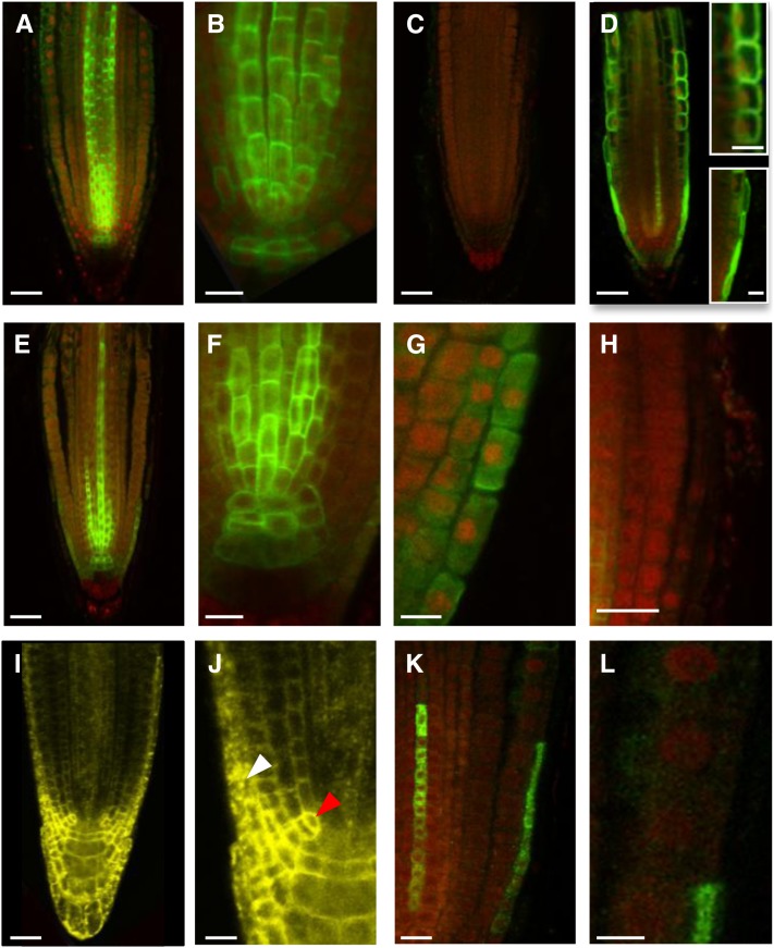 Figure 6.