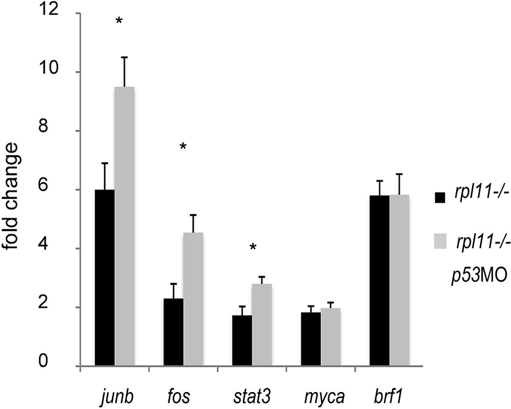 Fig 5