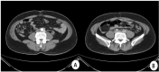 Fig. 5.
