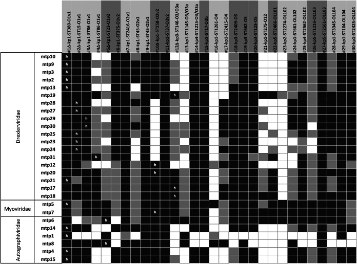 FIG 2