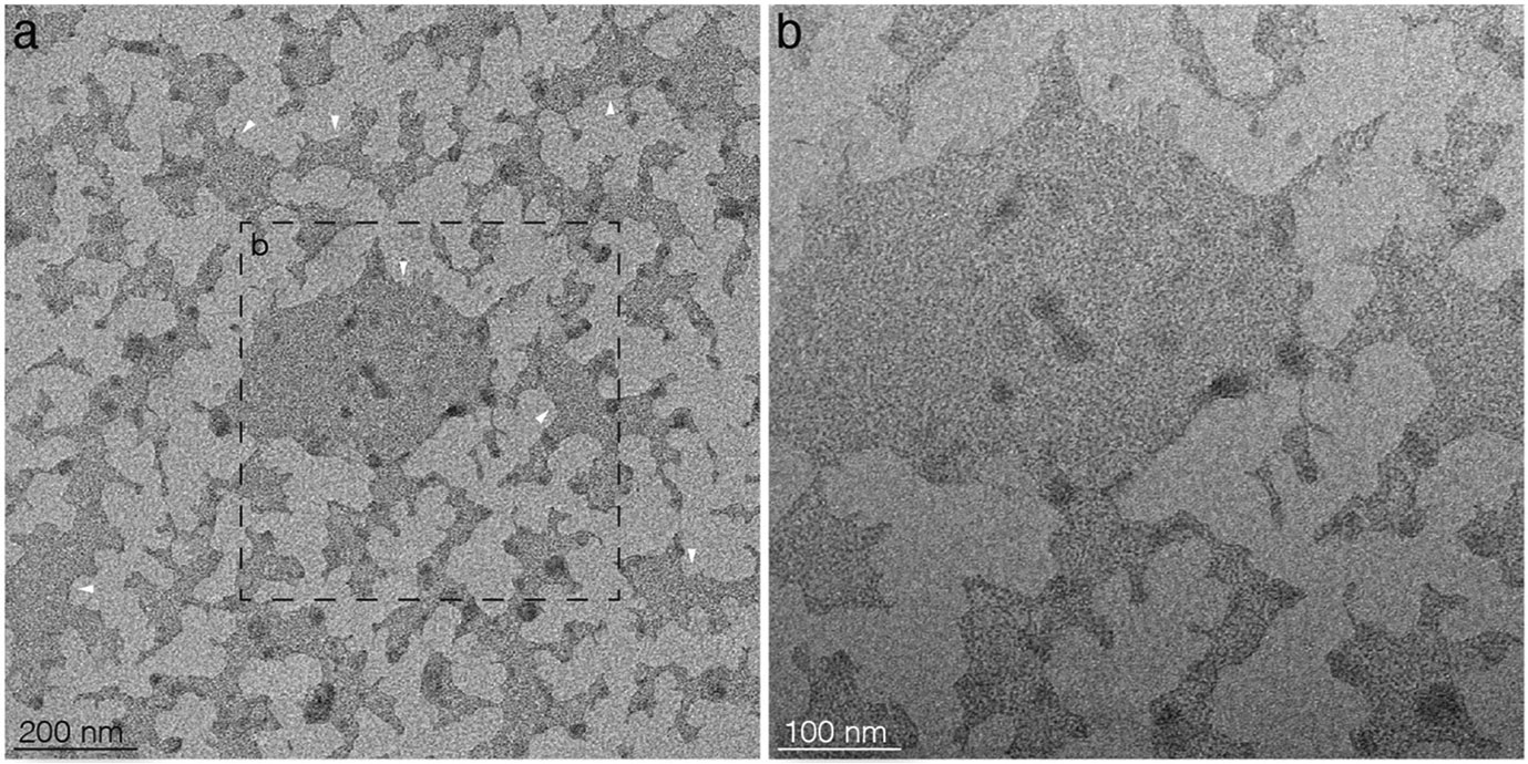 Extended Data Fig. 4