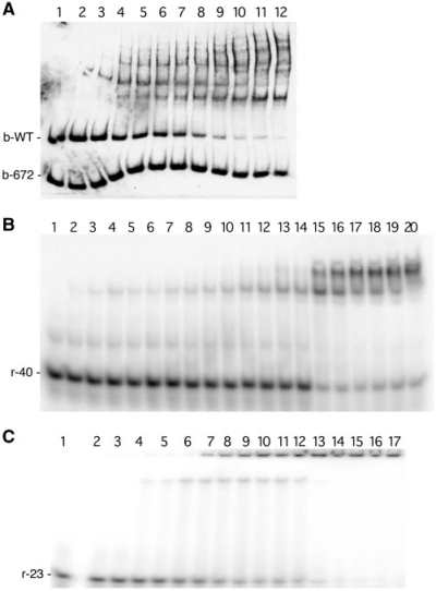 Figure 7.