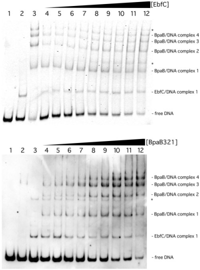 Figure 9.