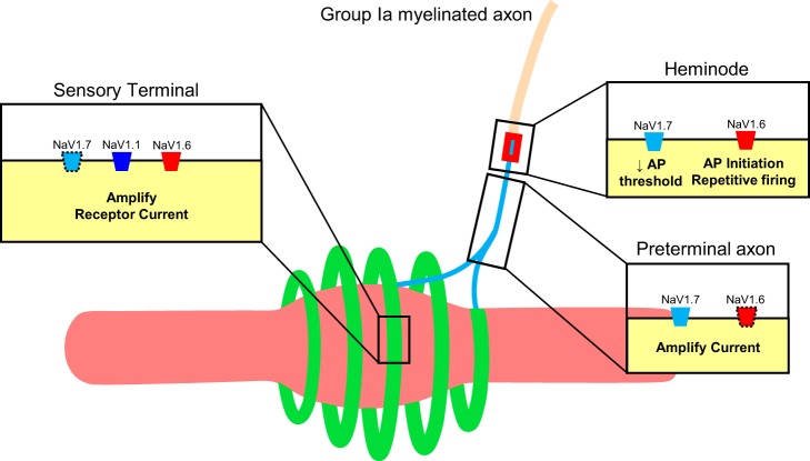 Fig. 8.