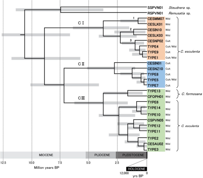 FIGURE 3