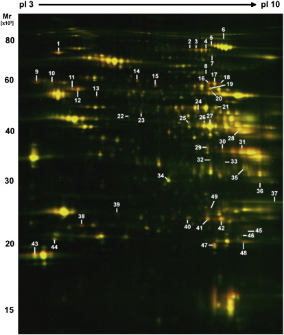 Fig. 2