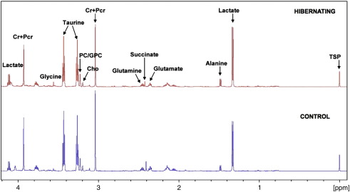 Fig. 5