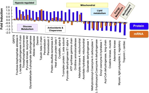 Fig. 3