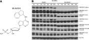 <b>FIG. 4.</b>