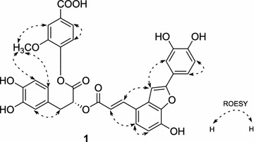 Fig. 3