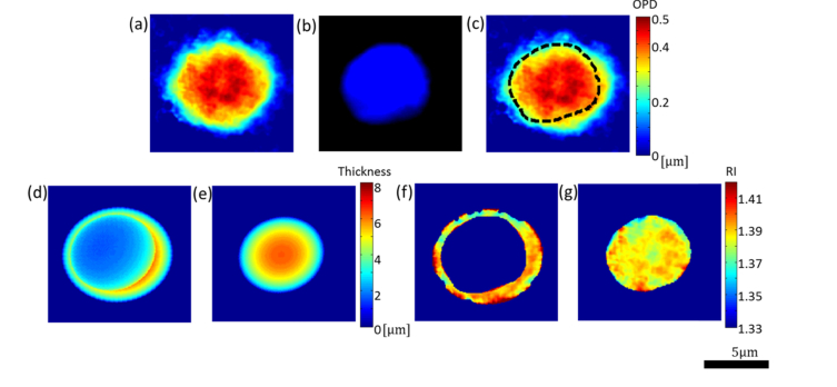 Fig. 7