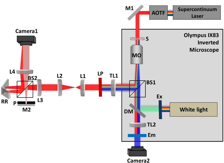 Fig. 6