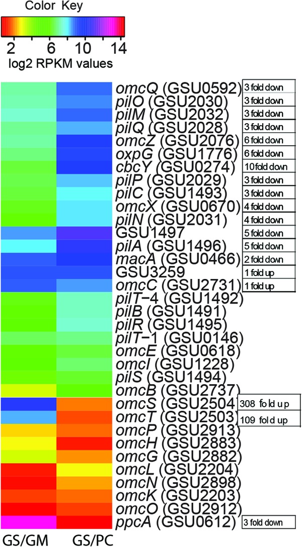 Fig 2