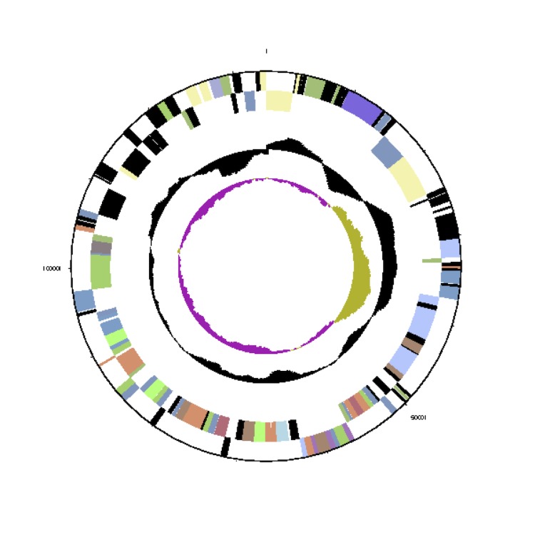 Figure 3c