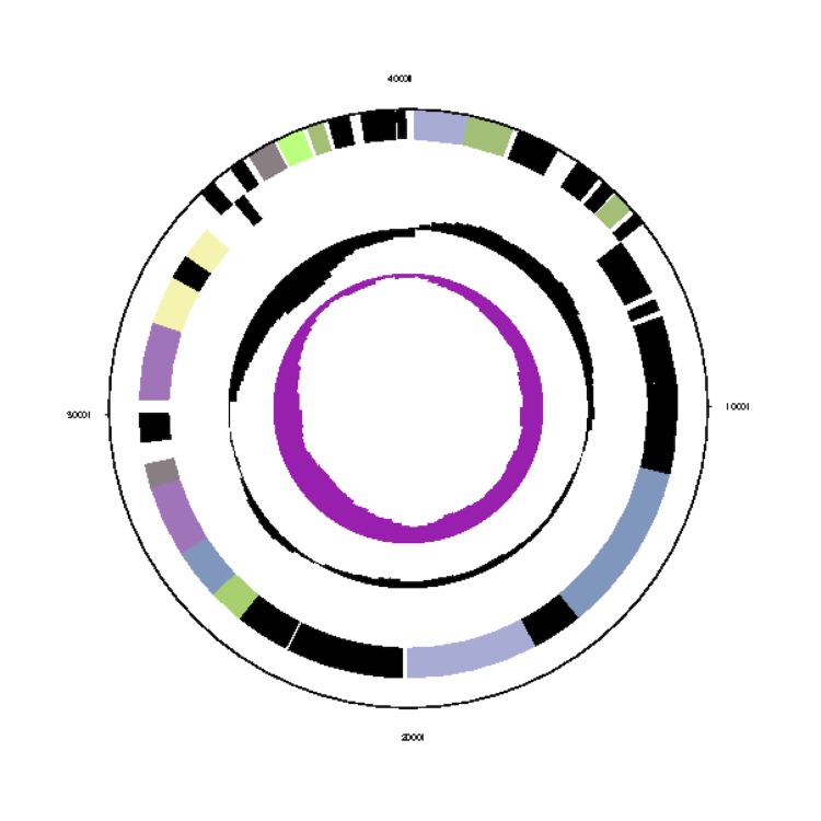 Figure 3h