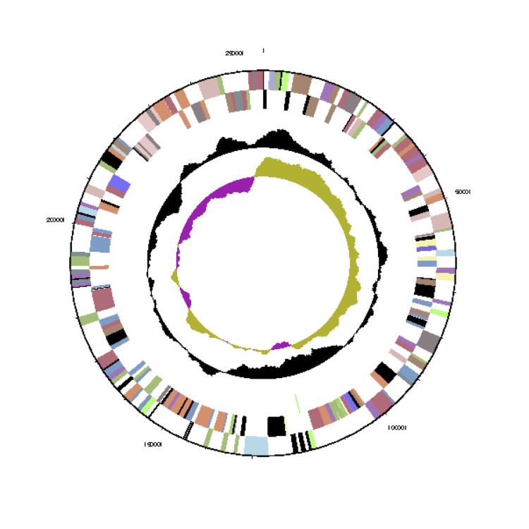 Figure 3b