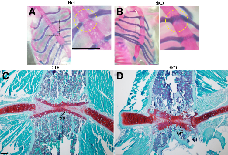 Figure 11