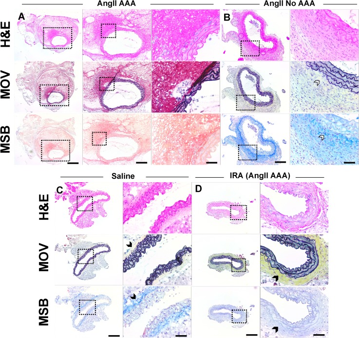 FIG. 4.