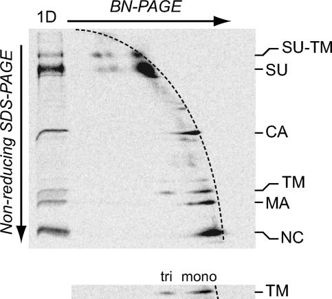 FIG. 5.