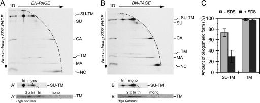 FIG. 6.