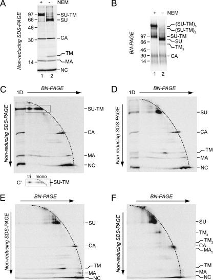 FIG. 3.