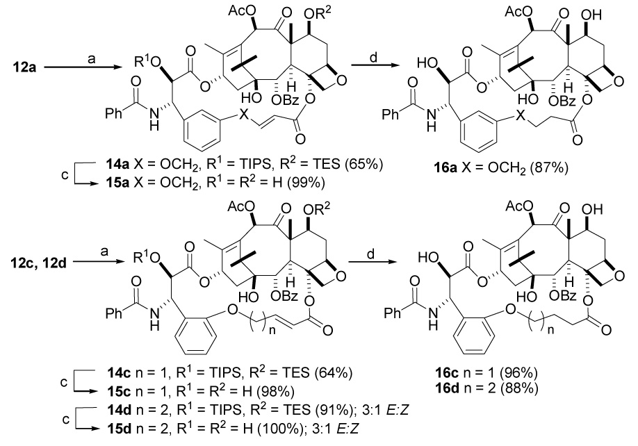 Scheme 5