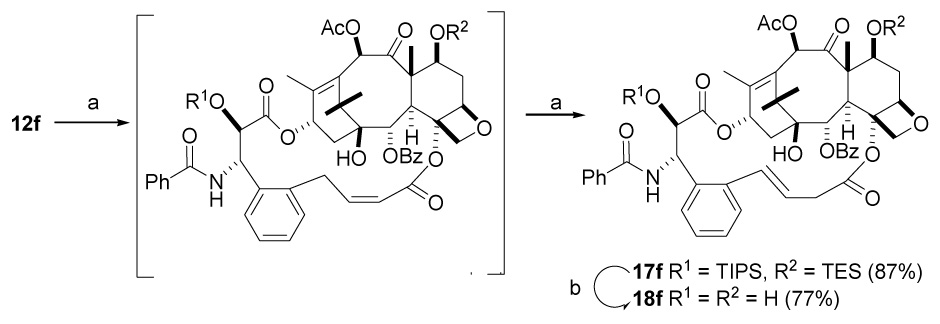 Scheme 6