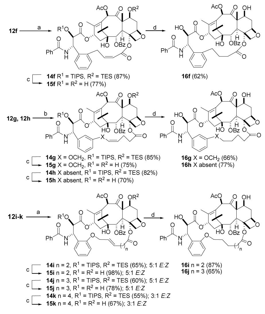 Scheme 5