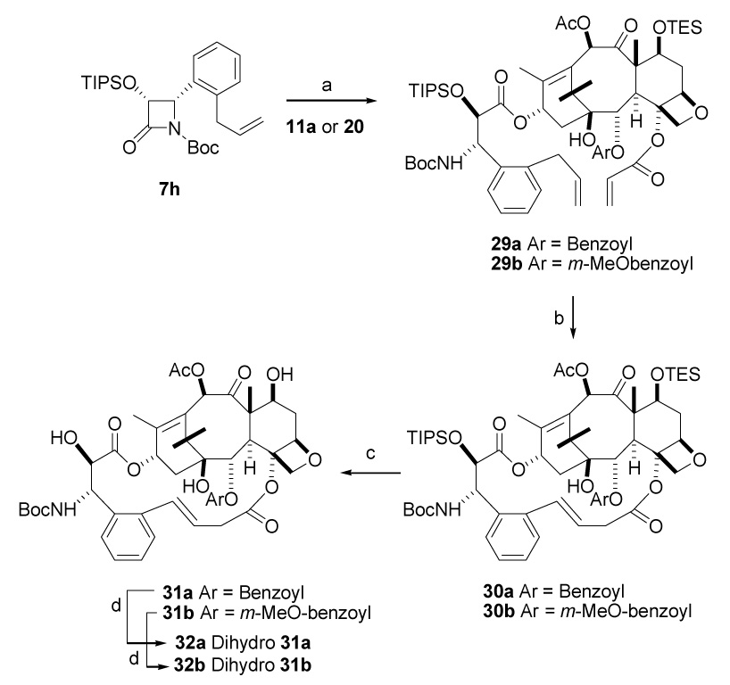 Scheme 8