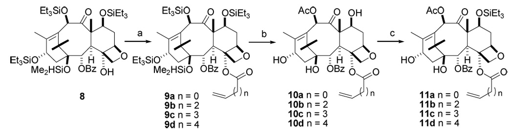 Scheme 3