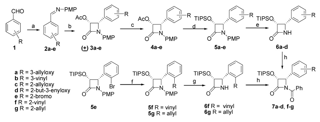 Scheme 2