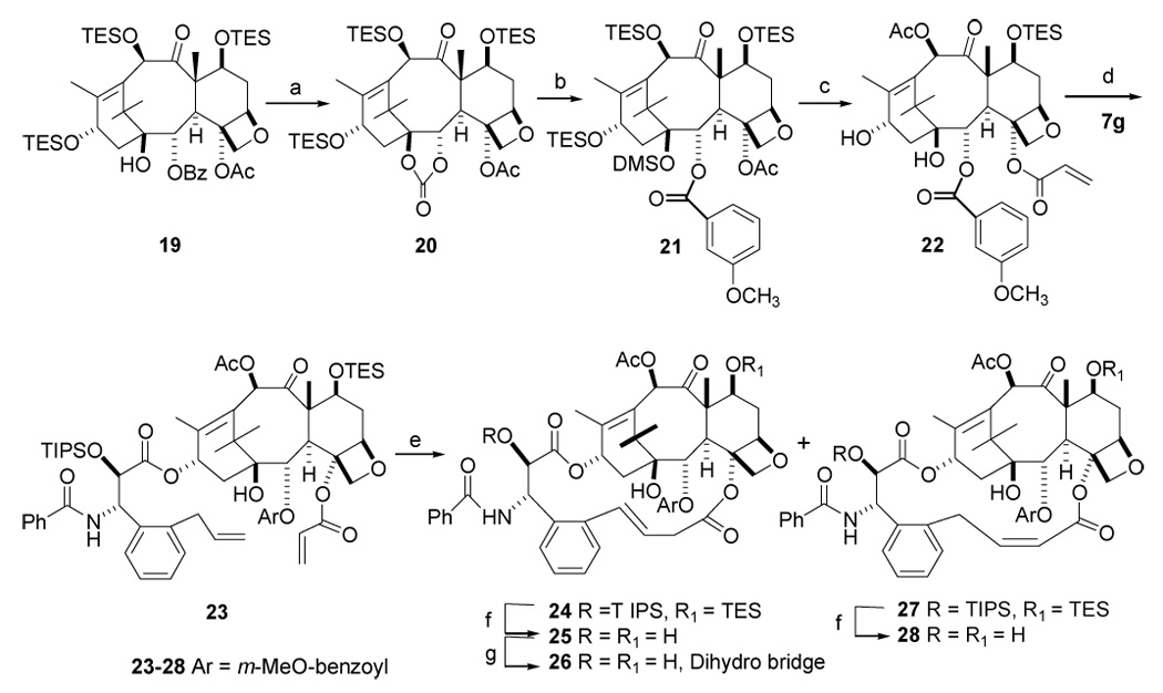 Scheme 7